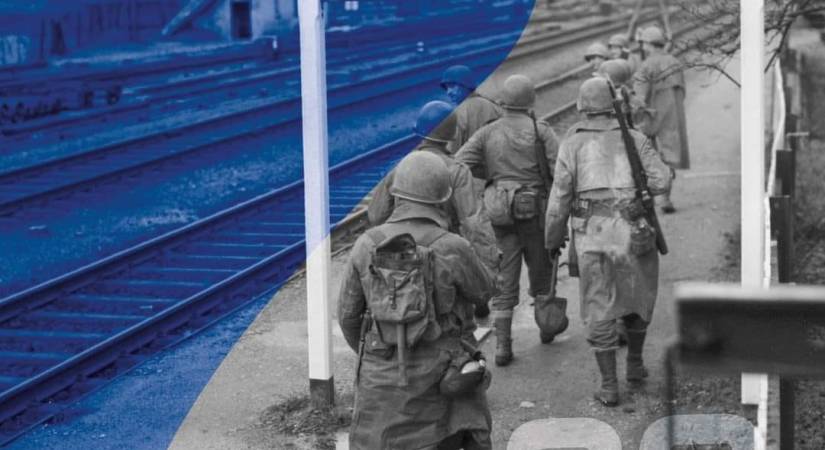 Dans les yeux de la libération