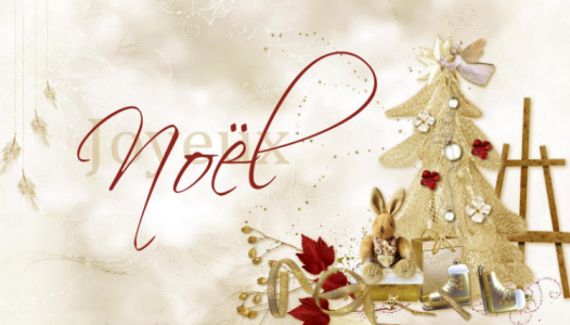 Très bonnes Fêtes à toutes et tous !