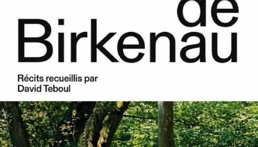 Les filles de Birkenau