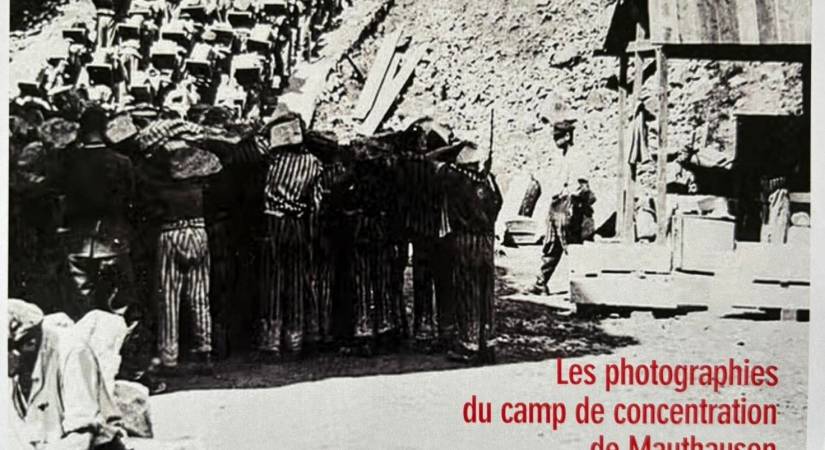 La part visible des camps