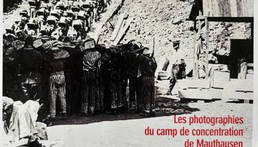 La part visible des camps